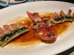 二十年老菜脯蒸东星斑-润苑·悦椿轩(徐汇万科中心一期店)