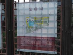 -嘉定紫藤园