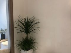 -Seeking Coffee咖啡(新竹路店)