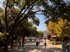 -溪口-滕头旅游景区