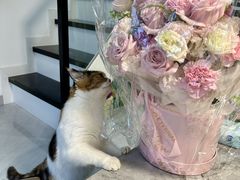 -bobo高端证件照工作室(三元桥店)