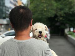 -蒌兰兰州牛肉面(龙湖上城店)