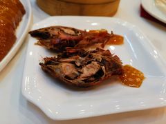 -九花山烤鸭店