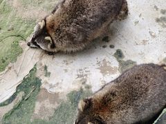 -杭州野生动物世界