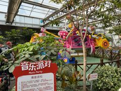 -南宫五洲植物乐园