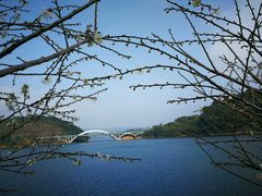 -广州市流溪河国家森林公园