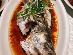 清蒸黄鱼-贴阁碧(百丈东路店)