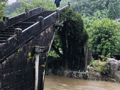 -鹿亭中村