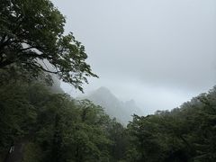 -武当山风景区