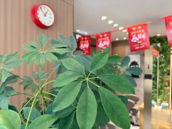 -SA MI hair salon烫染沙龙