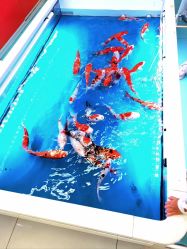 -孩子王童乐园(广州萝岗万达店)