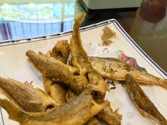 -宾朋海鲜特色美食餐厅·纯手工鲅鱼水饺(兴海路店)