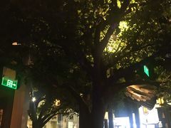 -绿茶餐厅(乐峰广场店)