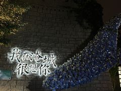 -淹城春秋乐园