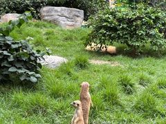 -紫马岭公园