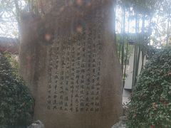 -南汇桃花村