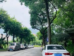 -西南政法大学(沙坪坝校区)