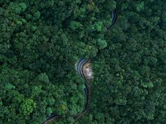 -海南热带雨林国家公园吊罗山景区