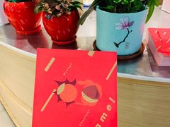 -奈雪的茶(石厦时代广场店)