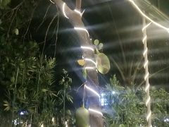 -文昌小老弟糟粕醋
