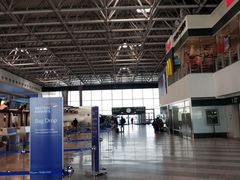 -米兰马尔彭萨国际机场