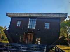 -金山农民画村-枫泾波兰倒置屋