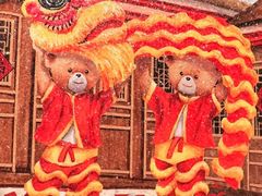 -珍妮曲奇聪明小熊(尖沙咀店)