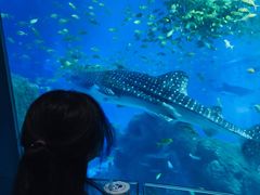 -成都浩海立方海洋公园