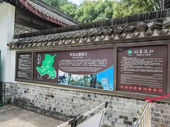 -上海佘山国家森林公园天马山园