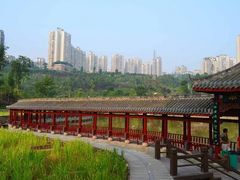 -龙头寺公园