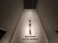 -秦始皇帝陵博物院-丽山园