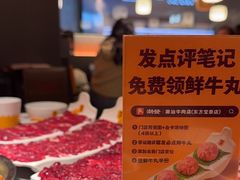 -潮发潮汕牛肉店(东方宝泰店)