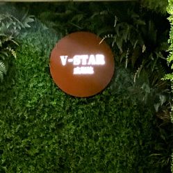 -V-STAR威斯达•高级私人定制