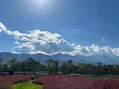 -大理洱海