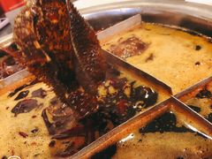 -邓莽子老火锅(鲁祖庙店)