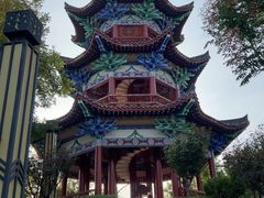 -千年枣林游览区