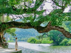 -上坦村