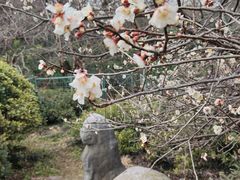 -雨花胜境