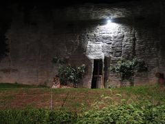 -清迈夜间动物园