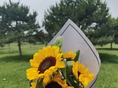 -海底捞火锅(海悦天地店)