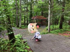 -五营红松林海景区