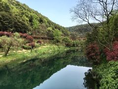 -桃花岭景区