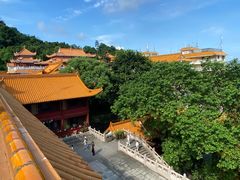 -深圳仙湖植物园