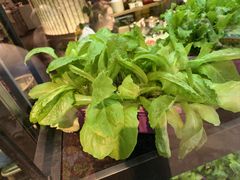 -番食园鲜食火锅(高新店)