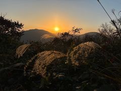 -南京老山国家森林公园