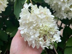 -沈阳植物园