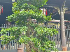 -成都武侯祠博物馆