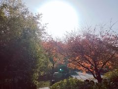 -武汉园博园(武汉自然博物馆)