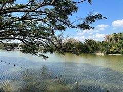 -江心屿景区