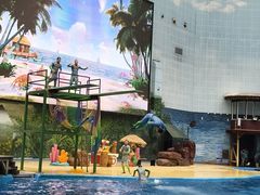 -海合安天津极地海洋公园